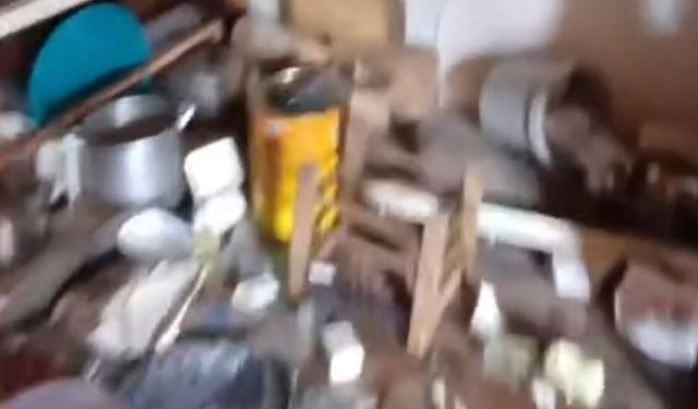Rize’de kış uykusundan uyanan ayılar bu kez Anzer Yaylası’ndaki evleri talan etti