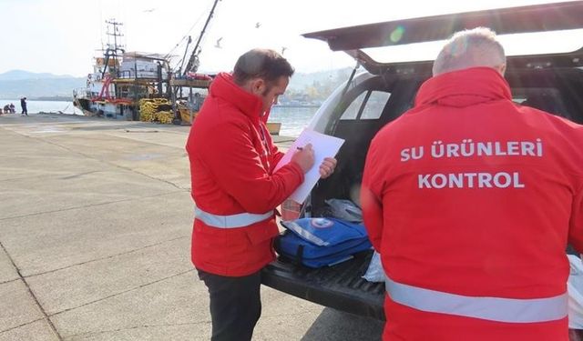 Trabzon’da belirlenen limitlerin altında avlanan balıkçılara 2 milyon 390 bin TL para cezası