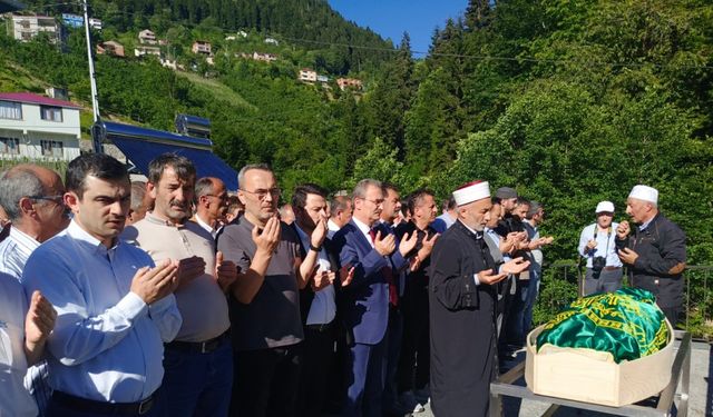Trabzon'da arıların soktuğu eski muhtar öldü (2)