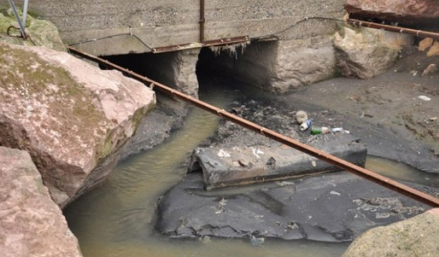 Karadeniz insanı tehdit altında Balık, yaptığı açıklamada, Karadeniz bölgesindeki atık su işleme tesislerinin gerekenin çok altında olduğunu belirtti.