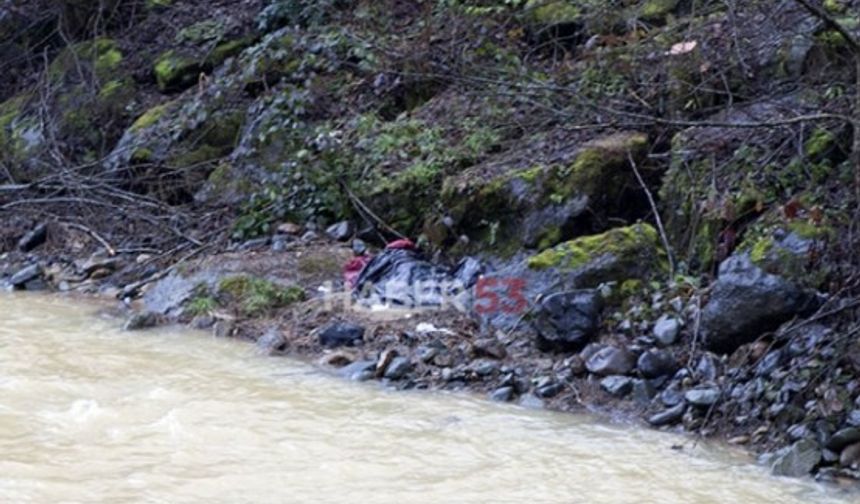 Rize'nin Çayeli ilçesinde bir kadın cesedi bulundu