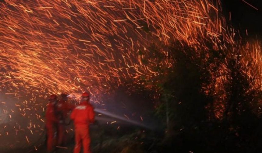 Rize'de ki yangında son durum foto