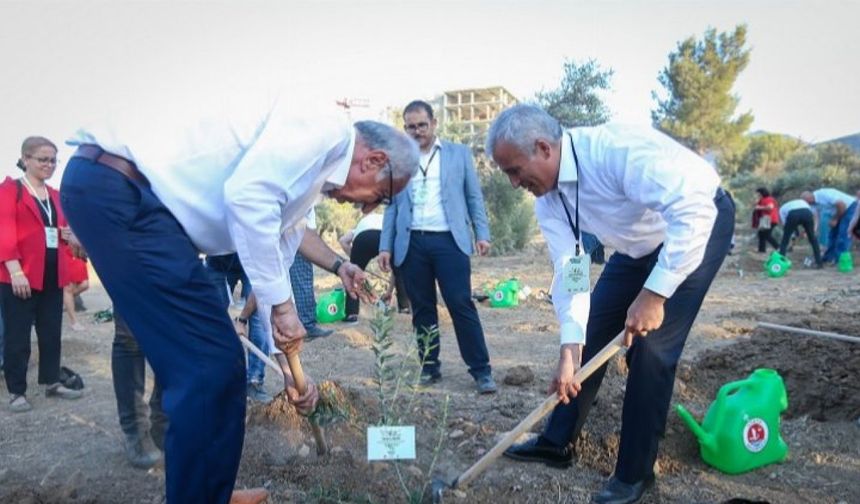 Gaziantep'te Girne Köyü'ne zeytin dikimi