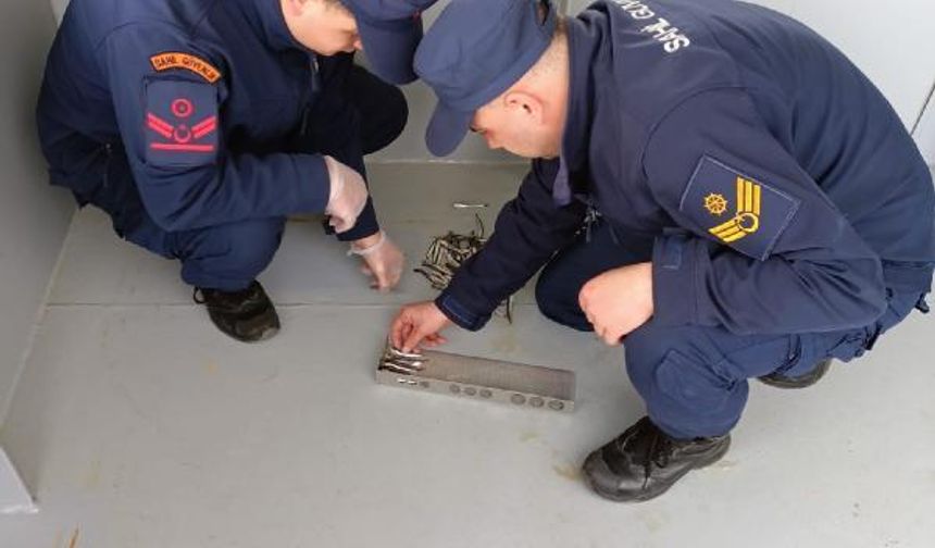 Rize'de yasal boy sınırı altındaki 30 ton hamsiye el konuldu