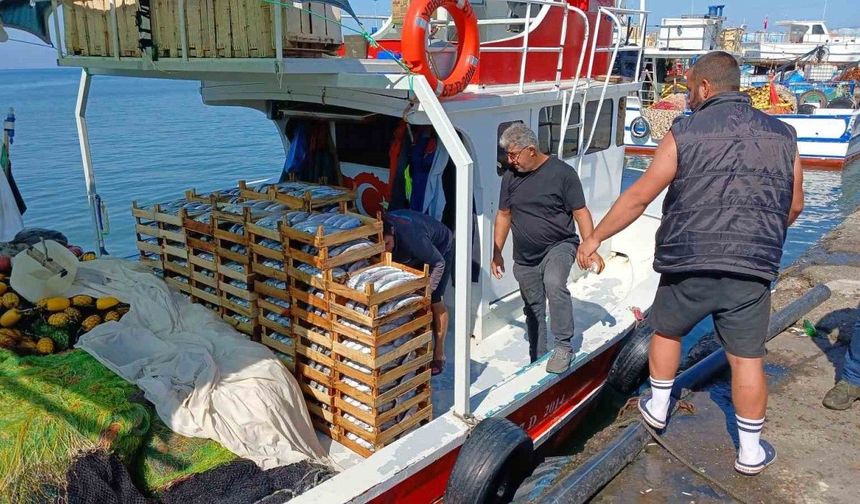 Batı Karadeniz’de avlanan 50 tekneden 10’u balıkla dönüyor