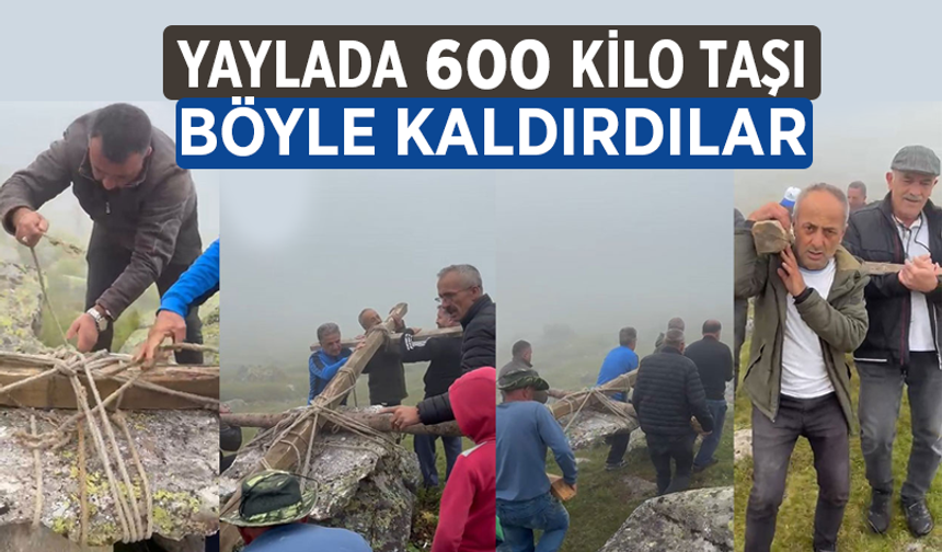 Yaylada 600 Kiloluk Taşı Böyle Taşıdılar.