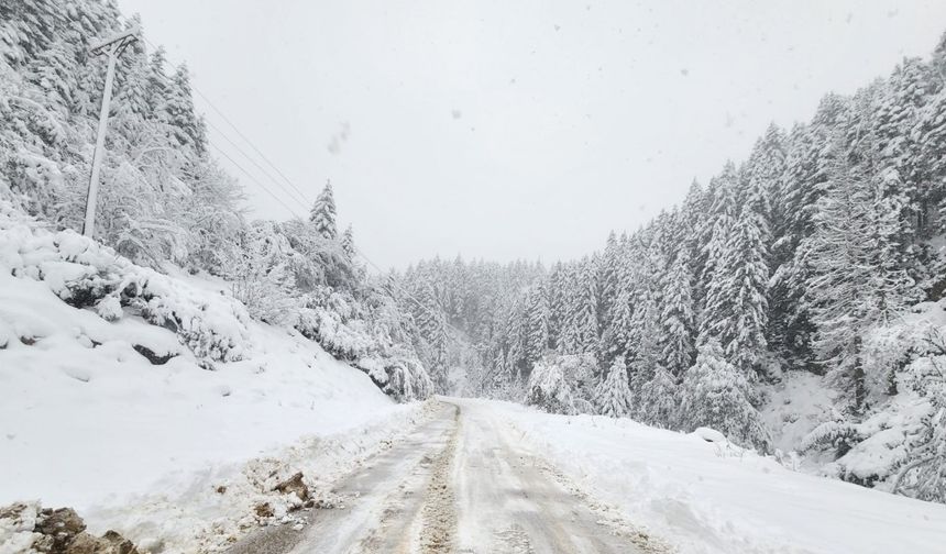 Rize'de 21 köy yolu kardan kapandı