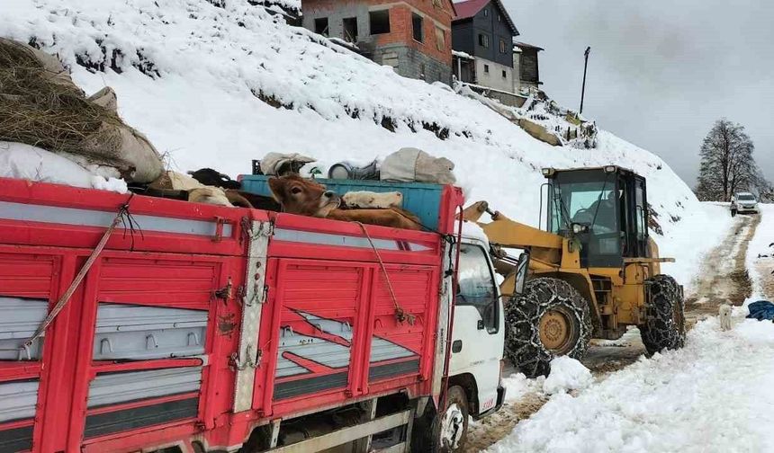 Rize’de yaylada hayvanları ile mahsur kalan 6 kişi kurtarıldı