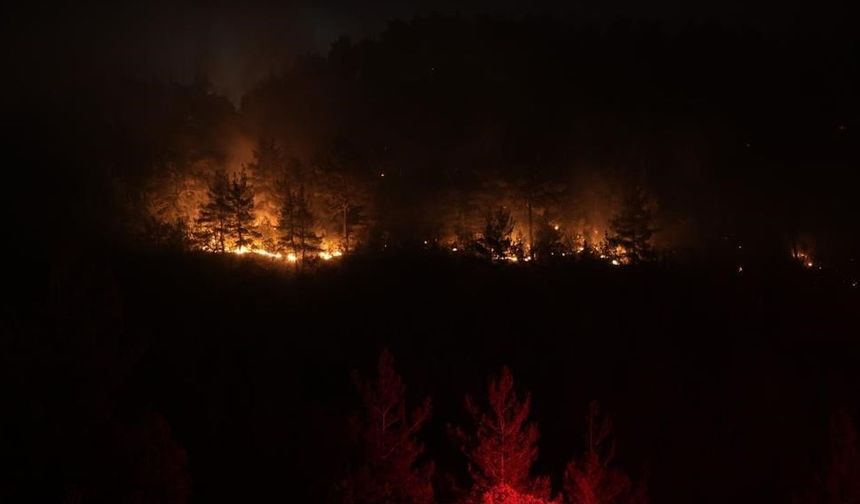 Balıkesir ile Bursa sınırındaki orman yangını kontrol altında