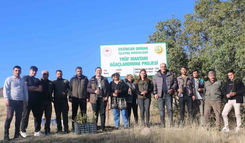 Erzincan’da ilk defa trüf mantarı ormanı oluşturuldu