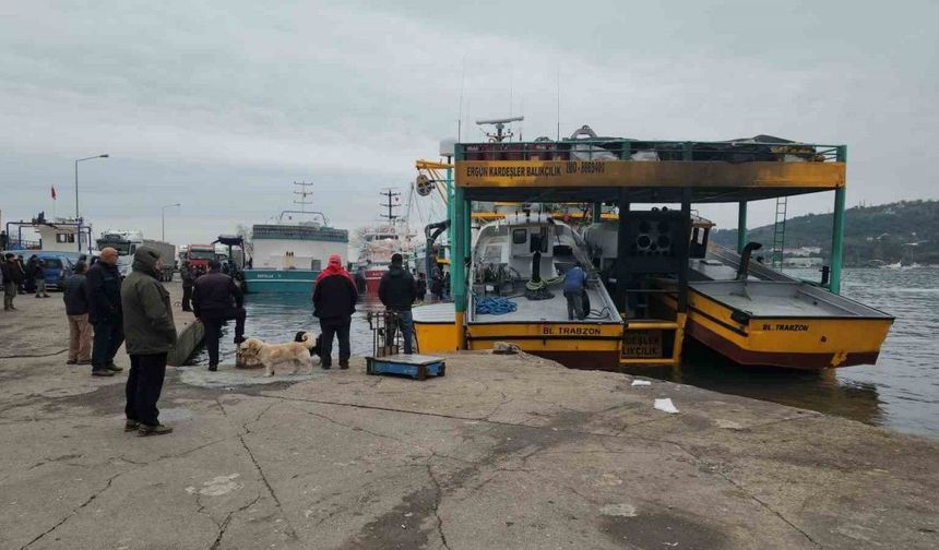 Karadeniz Ereğli Limanı’nda hamsi hareketliliği