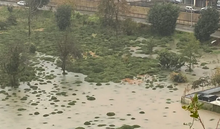 Rize Çayeli'nde heyelan! CHP: Bu tür afetler kader değil, basiretsizliktir!