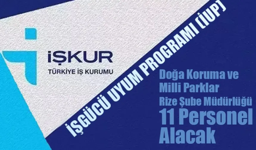 Rize'de İUP kapsamında 11 kişi işe alınacak