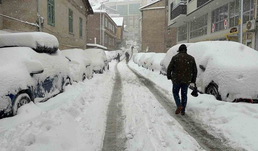 Artvin’de kar esareti