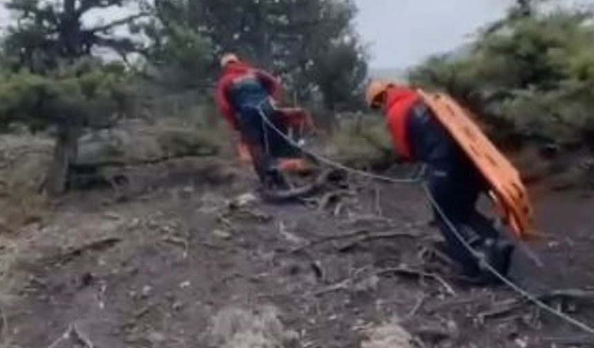 Artvin’de av sırasında kalp krizi geçiren rehber hayatını kaybetti