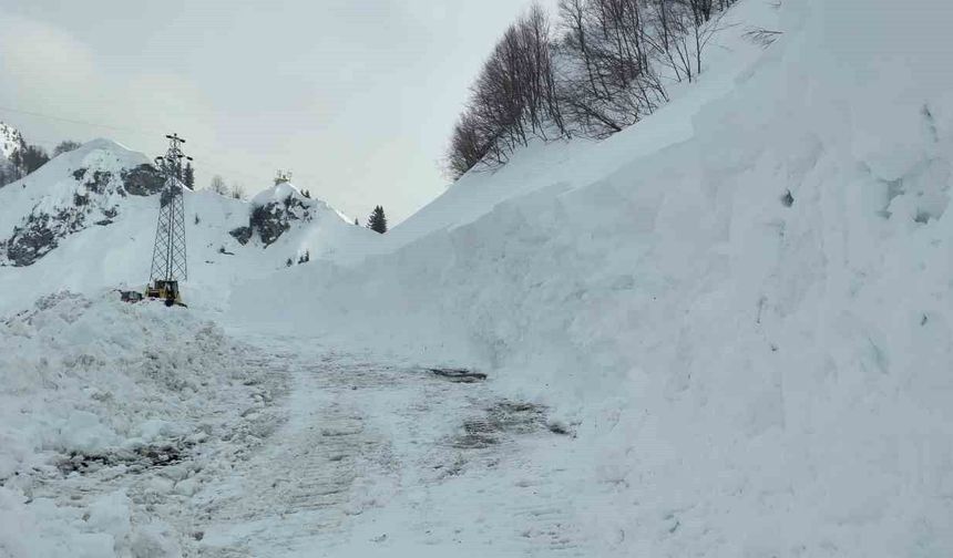 Artvin’in Macahel Geçidi’nde kar çilesi