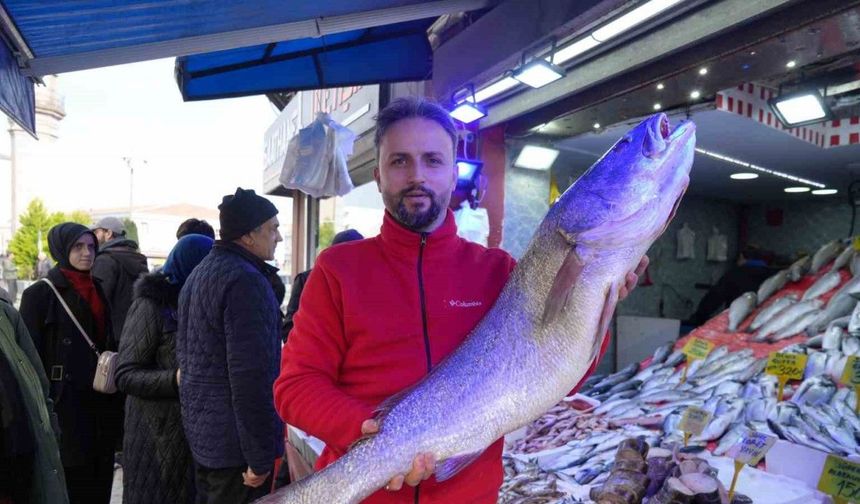 Karadeniz’de 120 santimlik dev minekop avlandı, 6 bin TL’ye satıldı