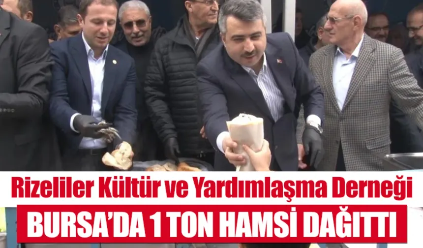 Rizeliler Kültür ve Yardımlaşma Derneği Bursa'da 1 ton hamsi dağıttı