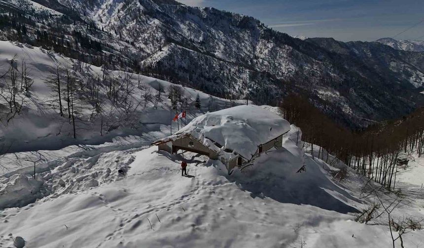 Artvin’de çığın düştüğü Macahel’deki Karayolları bakım onarım tesislerine ekipler ulaştı