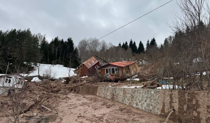 Artvin’de heyelan; ahşap ev çatısının üzerine devrildi / Ek fotoğraflar