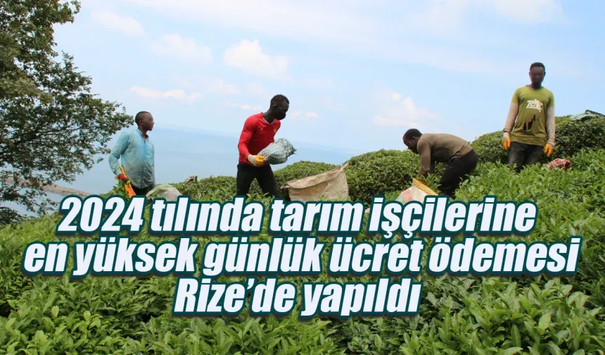 Geçen yıl en yüksek ücreti Rize ödedi