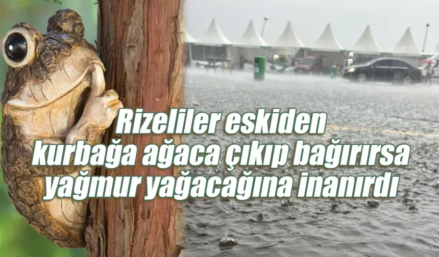 Rizeliler eskiden kurbağa ağaca çıkıp bağırırsa yağmur yağacağına inanırdı