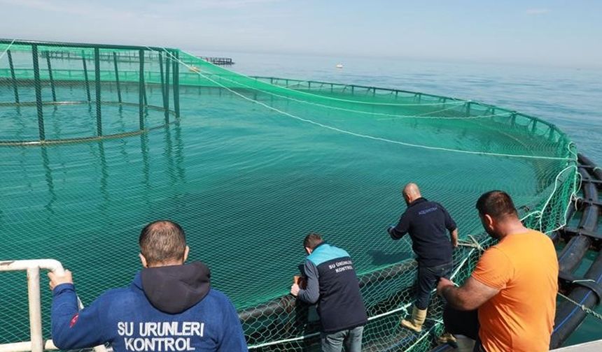 Trabzon’da denizdeki balık kafeslerine denetim
