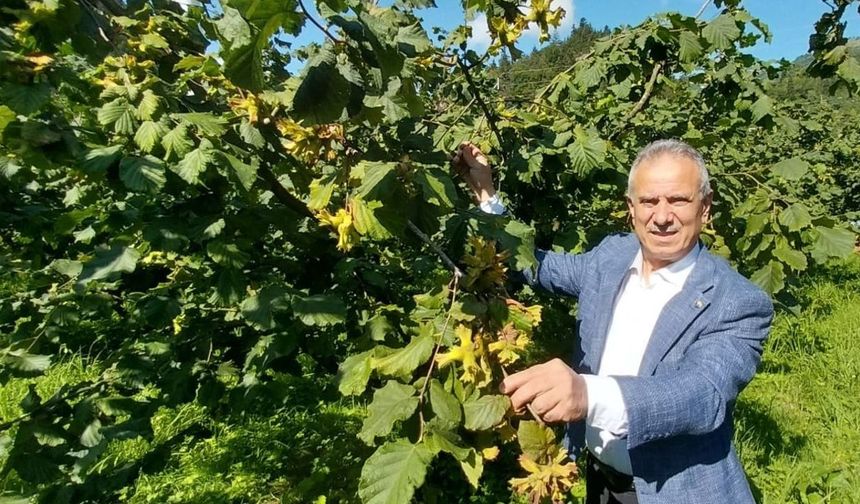 Trabzon Ticaret Borsası Başkanı Ergan: