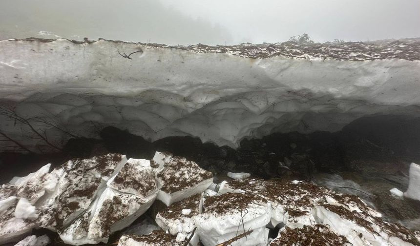 Rize'de kar kazası: 1 kişi öldü