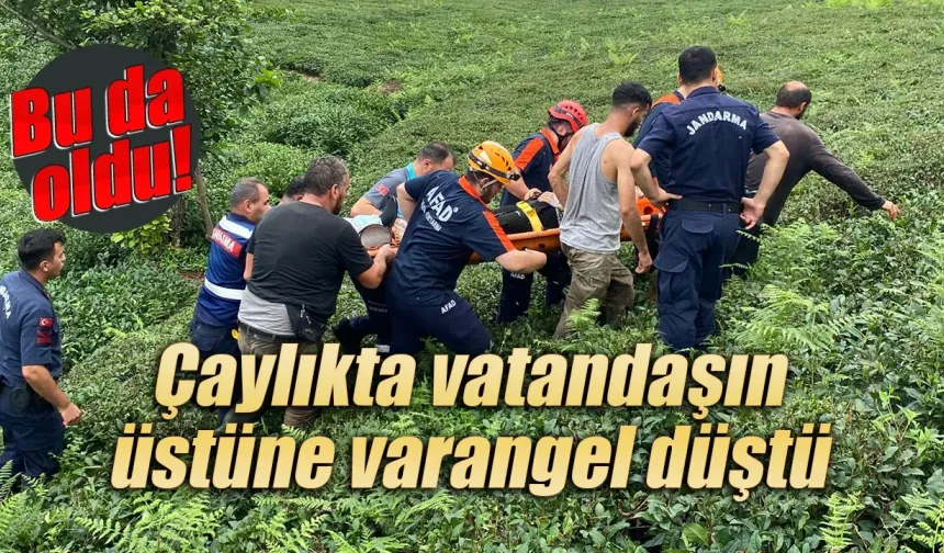 Rize'de varangel vatandaşın üstüne düştü