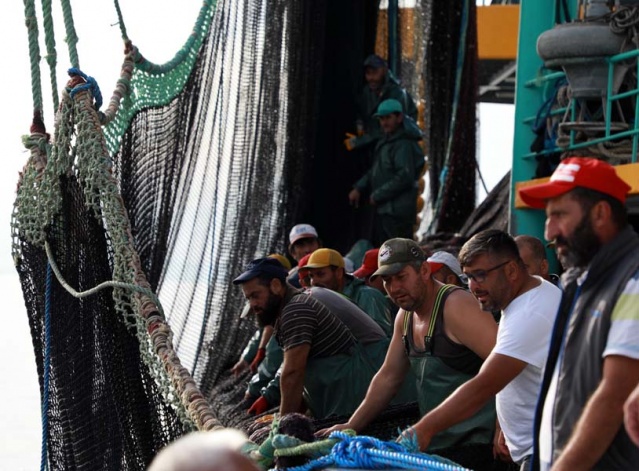 Rize'de balıkçıların yüzü palamutla güldü