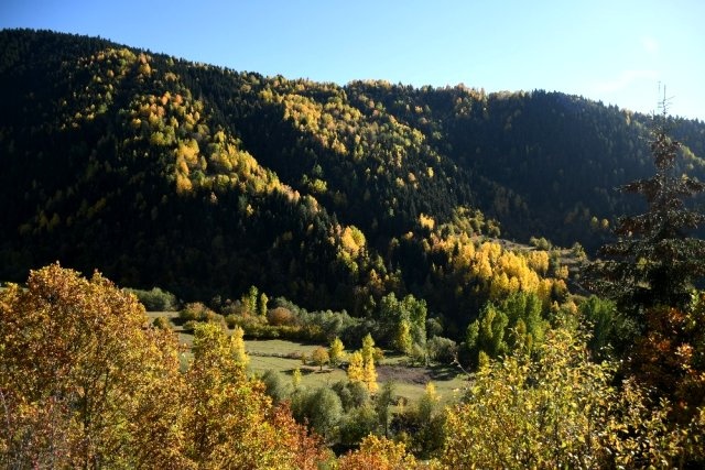 Artvin'den sonbahar manzaraları